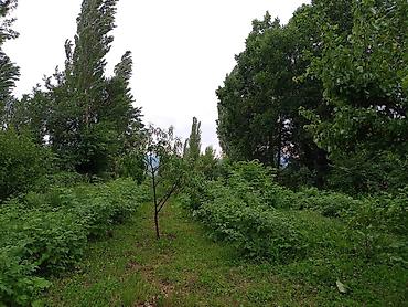 ак кеме старый аэропорт: Продаётся добротный 2-этажный дом на трассе Бишкек — Торугарт (с — 10