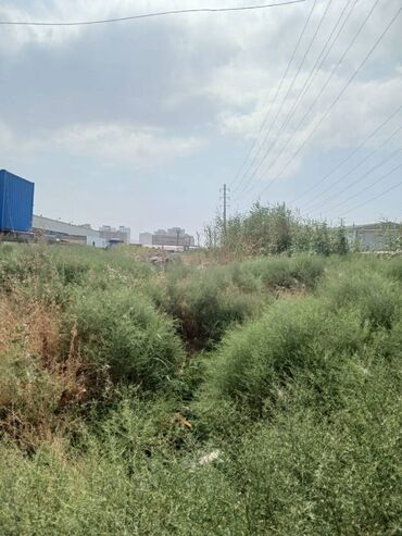 Torpaq sahələrinin satışı: 10 sot, Tikinti, Bələdiyyə — 7