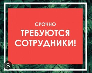 IT, компьютеры, связь: В Чуйский областной филиал ОАО " Кыргызтелеком", требуется оператор