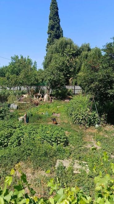 куплю дом в панфиловском районе чалдоваре: 4 соток, Курулуш, Кызыл китеп, Белек келишими