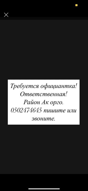 работа: посудомойщица: Талап кылынат Официант Тажрыйбасыз, Төлөм Жума сайын