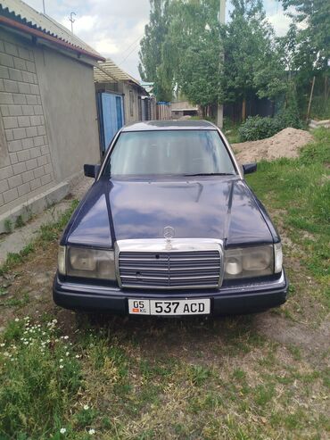 Mercedes-Benz: Mercedes-Benz 220: 1993 г., 2 л, Автомат, Бензин, Седан