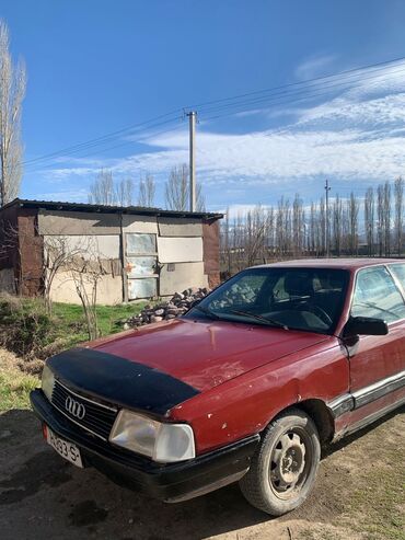 гидронасос ауди: Audi 100: 1988 г., 1.8 л, Механика, Бензин, Седан