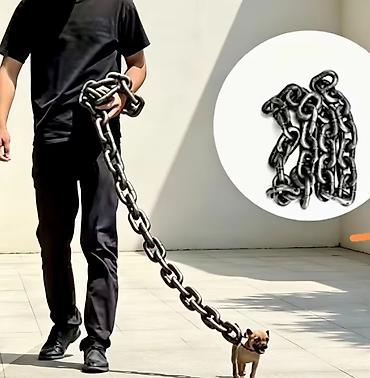 it: Məhsul: Gülməli “Oversized” it gəzdirən zəncir seti - Məqsəd: Küçədə — 5