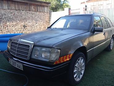 transporter multivan: Mercedes-Benz W124: 1991 г., 3 л, Механика, Дизель, Универсал — 1