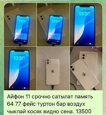 macbook m5: IPhone 11, Б/у, 64 ГБ, Белый, Коробка, 77 % — 1