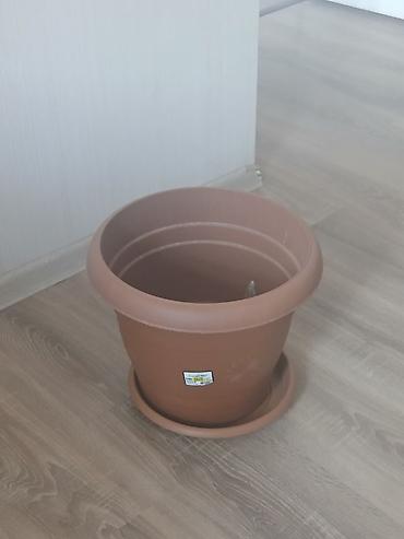 Plastik gül qabı – altlığı ilə birlikdə 13l tutumlu cemi 73 denedi 73 lalafo.az -da Plastik gül qabı – altlığı ilə birlikdə 13l tutumlu cemi 73 denedi 73