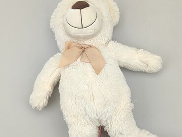 kapcie maskotki: Mascot Teddy bear, condition - Very good