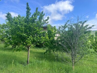 Həyət evləri və villaların satışı: 3 otaqlı, 100 kv. m, Kredit yoxdur, Təmirsiz — 7