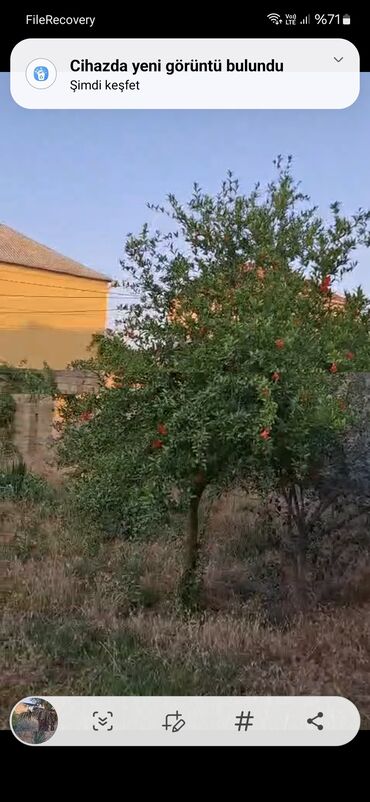 Bağ evlərinin kirayəsi: 1111 kv. m, 2 otaqlı — 17