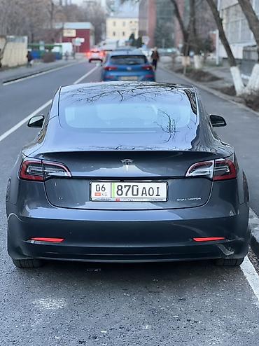 Tesla: Tesla Model 3: 2021 г., Автомат, Электромобиль, Седан — 4