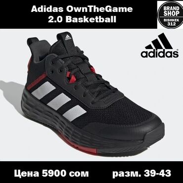 Кроссовки и спортивная обувь: Adidas ownthegame 2.0 basketball