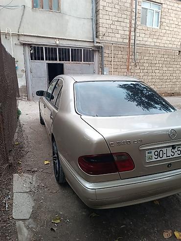 попугайчики купить: Mercedes-Benz E 220: 2.2 л | 2001 г. Седан — 5