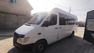Mercedes-Benz: Mercedes-Benz Спринтер: 2003 г., Бус — 4