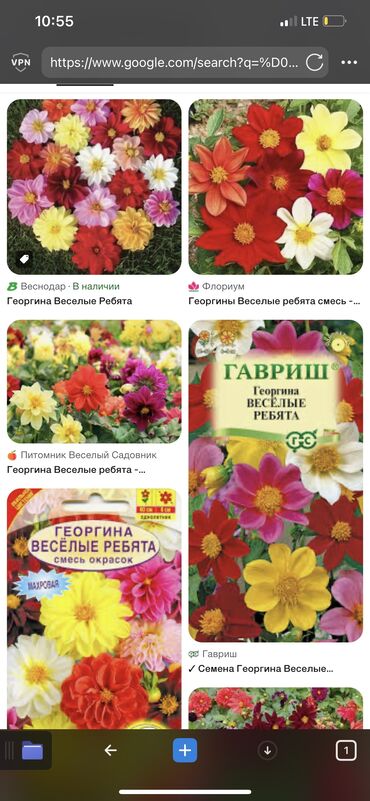 Цветы: Семена и саженцы Тюльпанов, Петунии, Роз, Самовывоз, Платная доставка