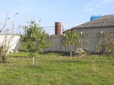 xacmaz torpaq bazarında: 13 sot, Tikinti, Mülkiyyətçi, Kupça (Çıxarış)