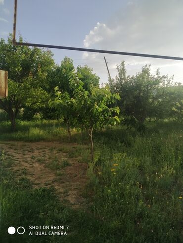 Bağ evlərinin satışı: Lerik, 115 kv. m, 3 otaqlı, İnternet, Telefon, Qaz — 11