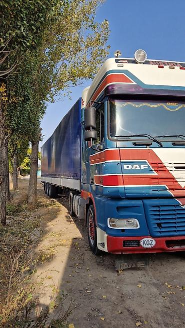 Тягачи: Тягач, DAF, 2004 г., Тентованный — 13