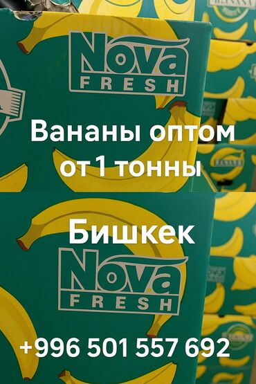цветок золотая рыбка: Основные характеристики: Калибр: 4, 5, 6, 8 Упаковка: картонные