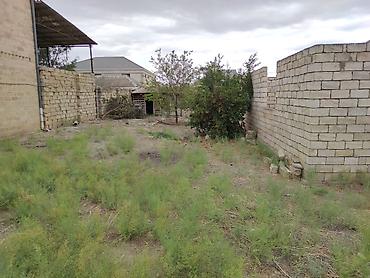 təcili satilir: 6 sot, Tikinti, Mülkiyyətçi, Kupça (Çıxarış) — 7
