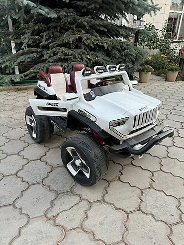 автокресло каракол: Балдар электрокары, Колдонулган — 5