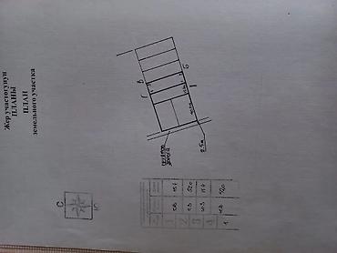 8 соток, Курулуш, Кызыл китеп — 4