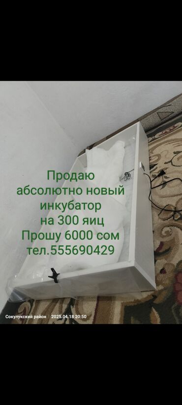 на производство: Инкубатор на 300 яиц
новый
прошу 6000 сом
тел