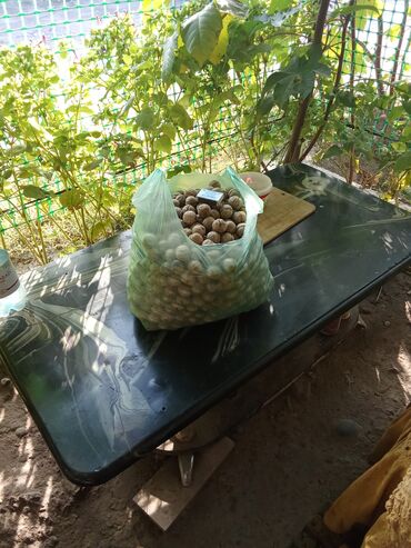 шоколадный букет цена: Орехи 10-+кг продаю 100с кг
