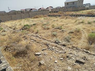 türkanda ev: 6 sot, Tikinti, Mülkiyyətçi, Kupça (Çıxarış) — 3