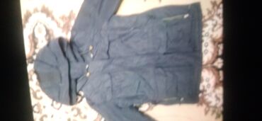 Верхняя одежда: Польто — 13