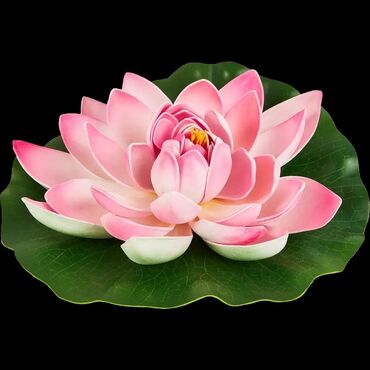 Декоративные цветы: Дикий виноград вьющийся, плетущийся как плющ Саженцы дикого винограда — 15