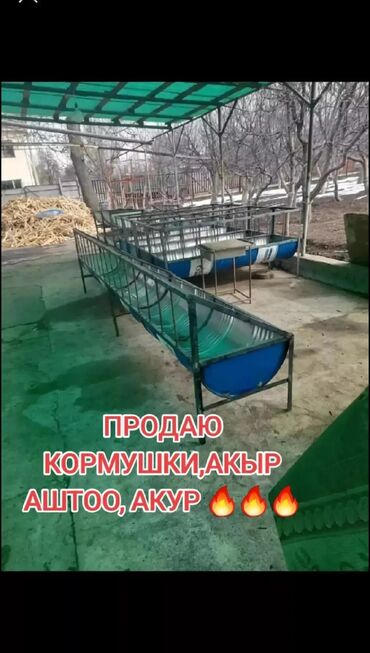 лекарство для животных: Беш-Кунгойдө АКЫР АШТОО КОРМУШКА САТЫЛАТ усилинный с гарантией на