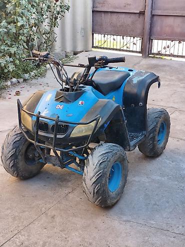 квадроцикл 13 лет: Квадроцикл Yamaha, Бензин, 110 куб. см, Взрослый — 1