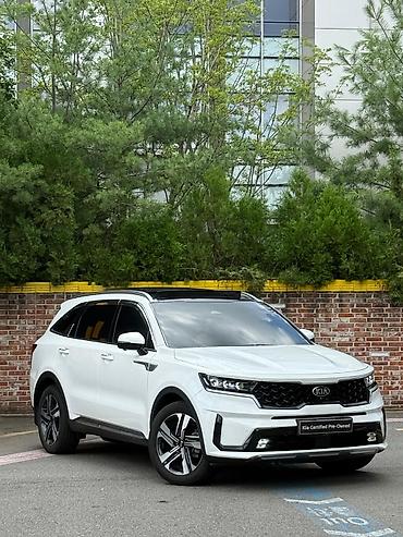2023: Kia Sorento: 2023 г., Кроссовер — 2