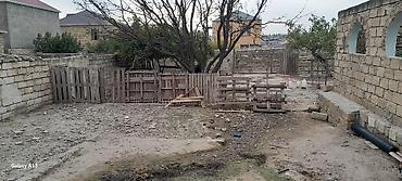 500: 5 sot, Tikinti, Mülkiyyətçi, Kupça (Çıxarış) — 3