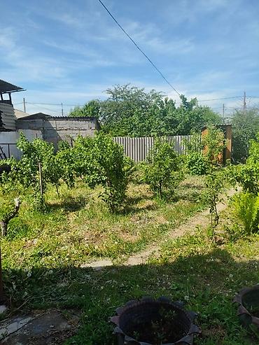 снять квартиру в бишкеке: Дом с участком и садом. - Одноэтажный дом из жженого красного — 2