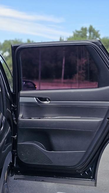 cls 55: Hyundai Palisade: 2019 г., 2.2 л, Автомат, Дизель, Кроссовер — 9