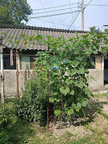 Həyət evləri və villaların satışı: 3 otaqlı, 100 kv. m, Kredit yoxdur, Orta təmir — 14