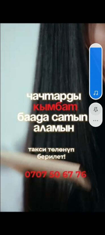 сколько стоят волосы в бишкеке: Дорого купит волосы,такси,стрижка бесплатно!!!