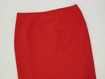 ca spodnice: Spódnica damska, rozmiar 2XL — 1