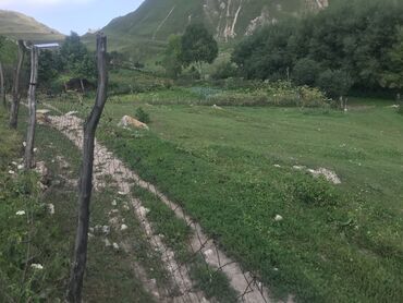 Torpaq sahələrinin satışı: 5 sot, Tikinti, Maklerlər narahat etməsin, Kupça (Çıxarış) — 3