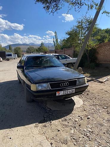 Audi 100: 1990 г., 1.8 л, Кол менен иштөөчү, Бензин, Седан — 5