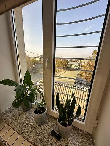 Продажа коттеджей и домов: Продается просторный дом с участком — отличное предложение! Продается — 13