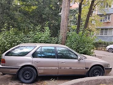 1991 accord: Honda Accord: 1991 г., Бензин, Универсал — 4