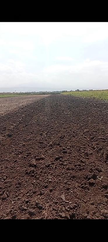 120 соток, Для сельского хозяйства at lalafo.kg 120 соток, Для сельского хозяйства