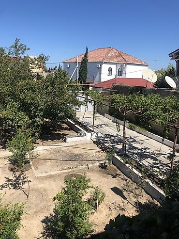 şeki: Torpaq sahəsi – şəhərətrafı məhəllədə, hasarlı həyət və darvazalı — 3