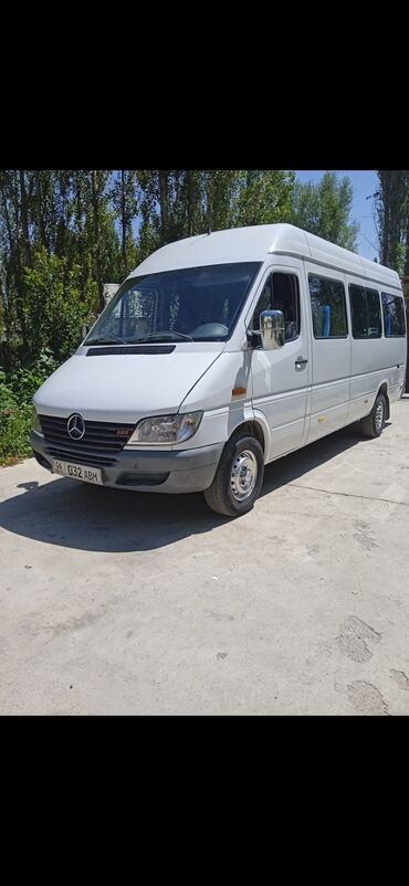 саньенг рекстон: Mercedes-Benz Sprinter: 2.9 л | 2004 г. | Бус