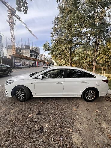 volkswagen grafter: Hyundai Sonata: 2020 г., 2 л, Автомат, Газ, Седан — 3
