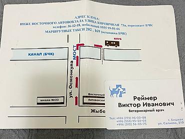 собака золотистый ретривер: Лабрадор-ретривер, 2 года, Самка, С прививкой — 10