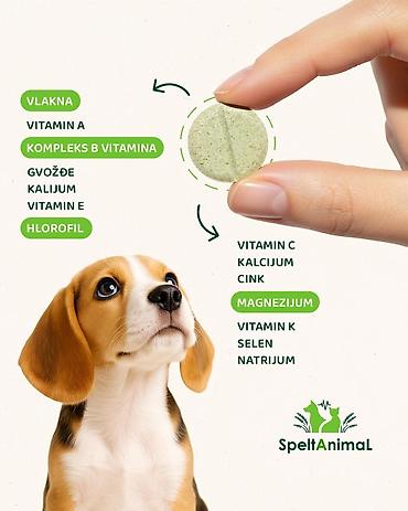 Oprema za kućne ljubimce: Pet shop Maza & Nera – sve za pse i mačke na jednom mestu - Širok — 24